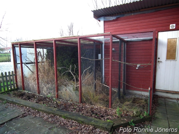 Vintertid